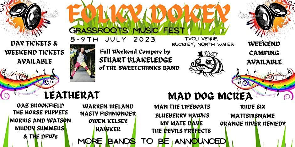 Folky Dokey roots music festival. Live folk-rock with Leatherat.