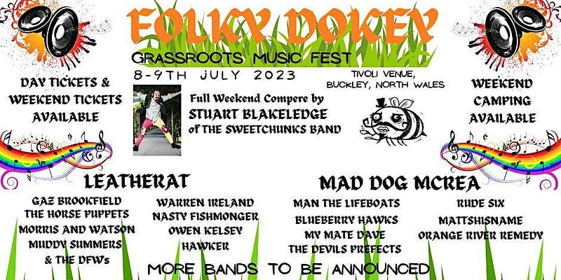 Folky Dokey roots music festival. Live folk-rock with Leatherat.